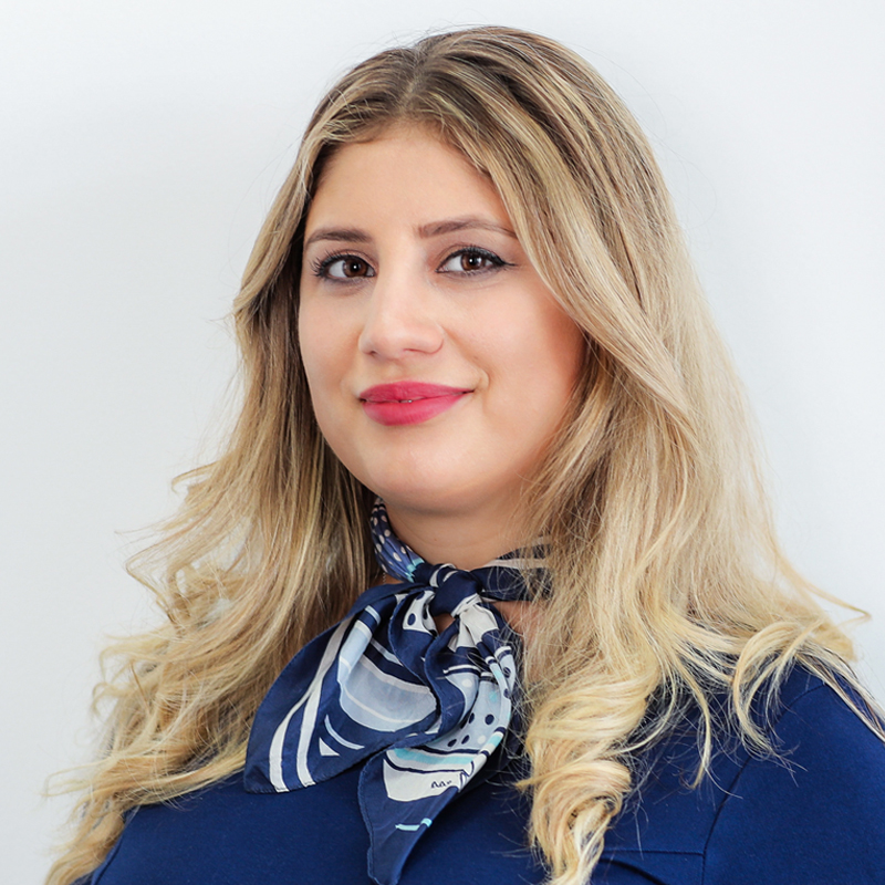 Diana Feldrihan Nestor Nestor Diculescu Kingston Petersen Attorneys